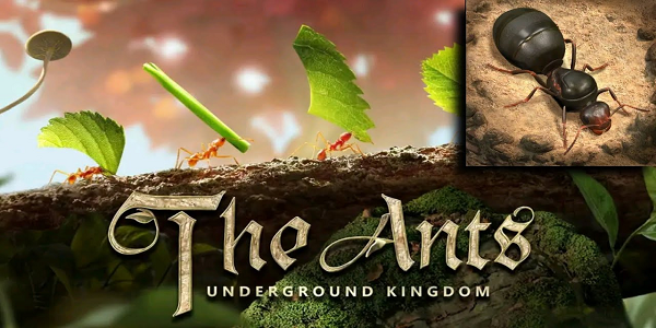 the ants underground kingdom