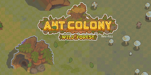 ant colony wild forest